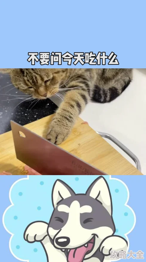 毫无意义的日常小事今天早上出门时不小心踩到了一只猫，它居然没有生气，反而还跟着我走了几步