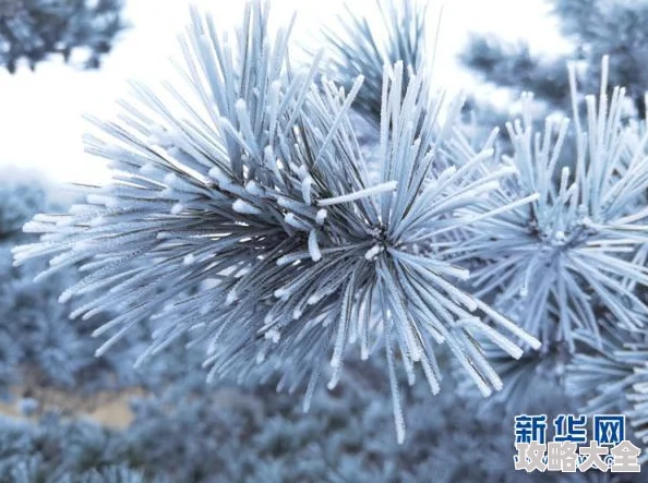 无尽冬日哪个英雄值得培养推荐冰霜法师其技能冷却时间短输出稳定