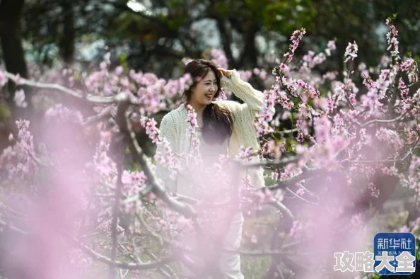 寡妇田里有桃花免费阅读全文小说心怀希望勇敢追梦生活总会绽放美丽的花朵