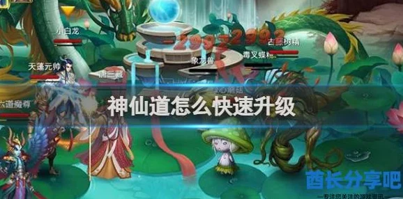 惊喜揭秘！神仙道张道凌天阶晋升所需，竟隐藏着这样的秘密数字！
