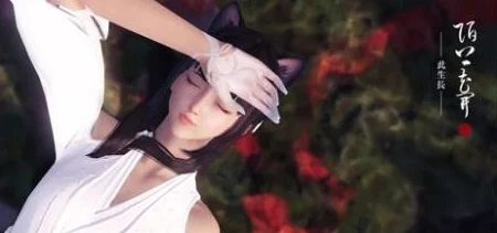 美国黄色视频画质提升新增VR版本