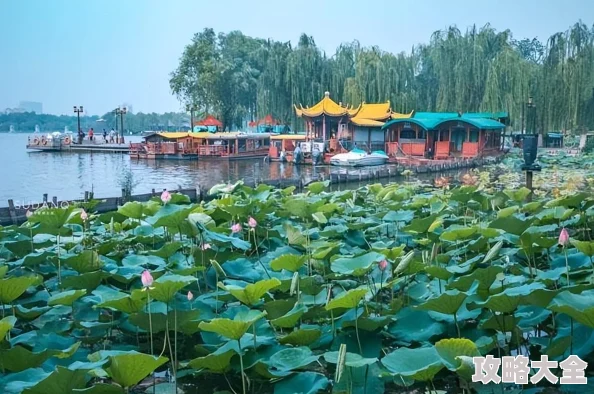 蛙爷的进化之路：揭秘世界BOSS全新玩法攻略，惊喜消息！解锁隐藏福利秘籍