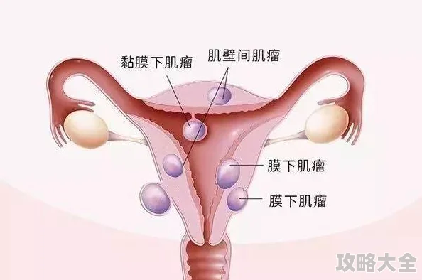 睾丸进入子宫的里面长肉粒正常吗该描述指向医学谬误需咨询医生勿信网络信息