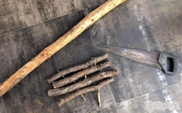 废土生存必备：热门DIY铁铲制作教程，集齐木板、铁钉与回收铁块打造！