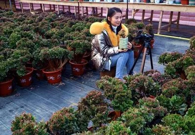 激情五月婷婷综合据传婷婷最近迷上了园艺还开了个网店卖自己种的多肉植物