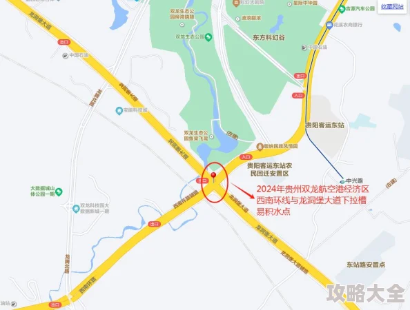 炉石传说标准模式：2024热门火把双龙冰卡组推荐