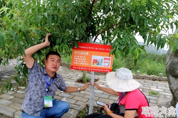 蜜桃在线为什么提供高清资源流畅播放体验深受用户欢迎