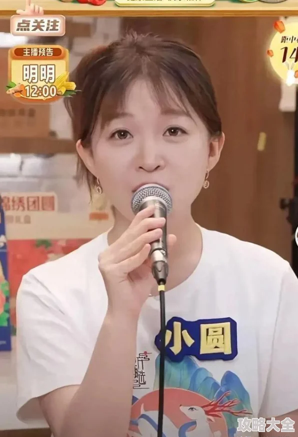2024热门攻略：魔法少女小圆快速闯关秘籍大公开