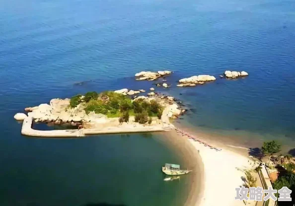宝可梦大探险边际海滨10-4高效通关攻略与热门阵容推荐