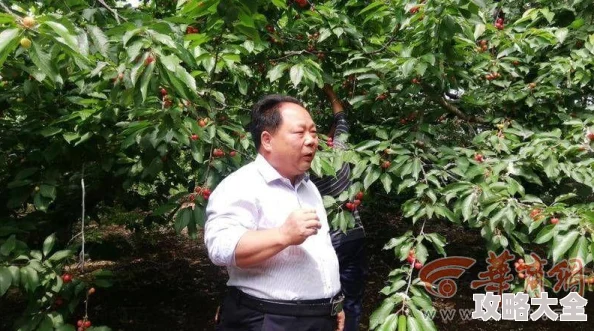 绝地求生刺激战场新版本爆料：大神深度评测，带你抢鲜领略热门更新
