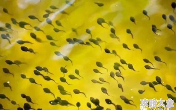 邪祟网友称似曾相识细思极恐可能是某种未知生物
