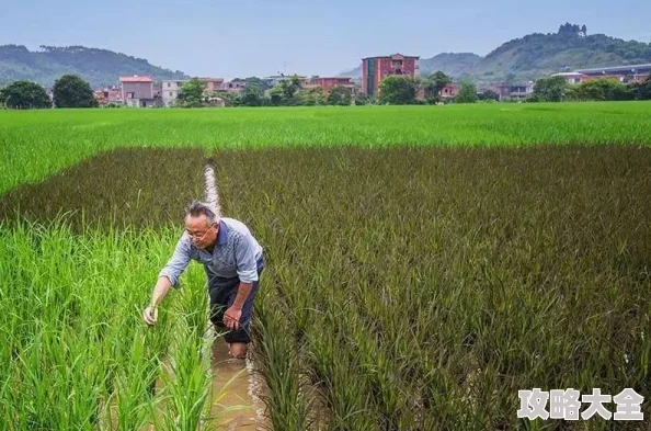 《我独自生活》，深度种地流攻略，高效经营指南
