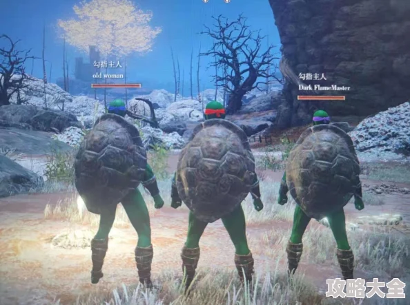 艾尔登法环游戏大盾选择推荐，哪个大盾在实战中更具优势