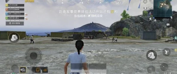 手机屏幕白色现象，和平精英游戏遭遇屏幕白色问题解析