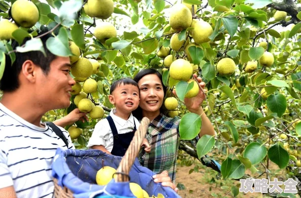 心之鳞片获取方法详解，快速掌握心之鳞片的获取技巧